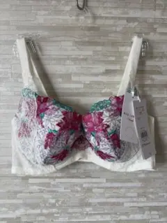 E75」トリンプ レッドレーベル天使のブラ スリムライン 月光の女王 ブラジャー