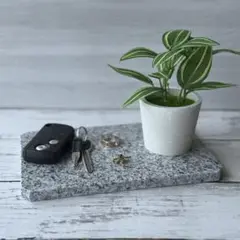 アクセサリー トレイ 植物 ひんやりマット