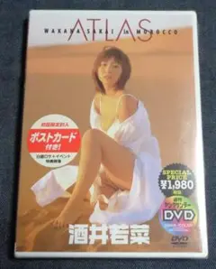 酒井若菜 未開封DVD アトラス ATLAS