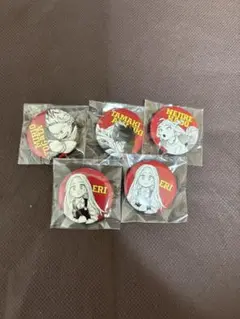 僕のヒーローアカデミア　ヒロアカ　オールスター缶バッジpetit BIG3 エリ