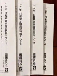 2024 6年　日能研　夏期講習　特別テスト１.2.3.4