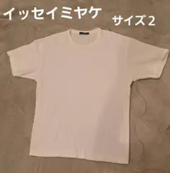 【美品】イッセイミヤケメン Tシャツ カットソーリップル編み プリーツ