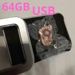 大特価❕64GB 足型 USBメモリー ローズゴールド 車 音楽