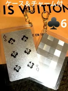 (大人気♣️6 ケース&チャーム付) VUITTON ダミエシルバー1枚 3