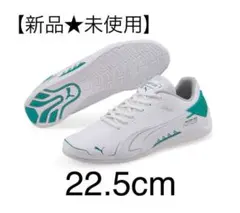 Item thumbnail for item fb39bbac-f760-4732-8144-f2124b270704
