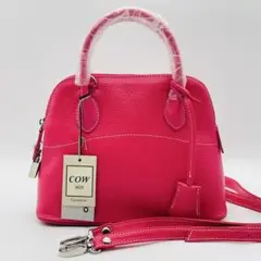 【極美品】センプリチェ　ハンドバッグ　ショルダーバッグ　2way エキゾチック センプリチェ バッグ Semplice 2WAY ハンドバッグ ショルダー