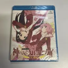 神のみぞ知るセカイ 女神篇 ROUTE1.0