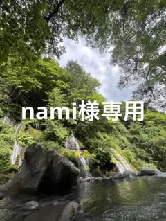 専用です