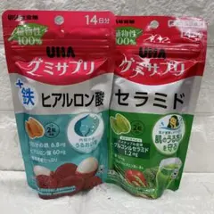UHA味覚糖 14日分 2袋セット
