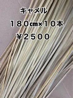 グラブレース　キャメル　180cm×１０本