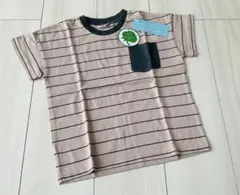 【新品】オーガニックコットン　キッズ　半袖ボーダーTシャツ　110cm