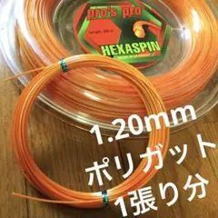 pro's pro HEXASPIN(オレンジ) 1.20mm 12m 1張り分