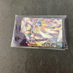 ポケモンフレンダ　ベストタッグ1弾　スーパートレジャー★5 ソルガレオ　匿名配送