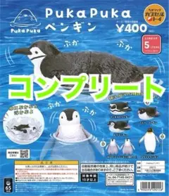 PukaPuka　ペンギン　ガチャ　コンプリート
