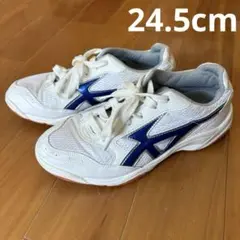 【美品】GYMSTAR 体育館履き スポーツシューズ ホワイト/ネイビー