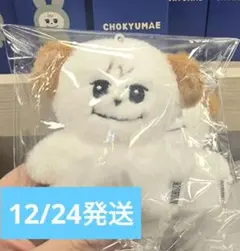 キュヒョン KYUHYUN ギュメ CHOKYUMAE ぬいぐるみマスコット 2025年最新】CHOKYUMAEの人気アイテム - メルカリ
