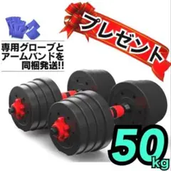 合計50kg／バーベルにもなるダンベル 可変式プレート｜25kg×2個セットa1