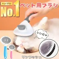 Item thumbnail for item fdfe940f-86d0-48c0-a077-2e08b95edd47