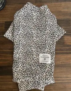 Item thumbnail for item ab9efb39-78b5-43ce-8e1b-4eaac3ad8d3b