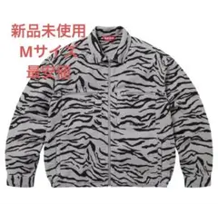 Item thumbnail for item 61216f30-e42c-4c99-95c9-f6848b2ed285