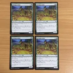 事件現場の分析者 4枚セット