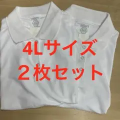 訳あり4Lサイズ速乾素材半袖ポロシャツ白2枚セット