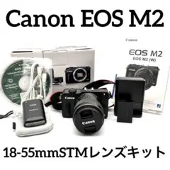 Item thumbnail for item e0cd2504-8895-41bb-be32-af74fc352a7a