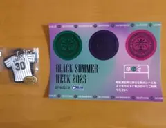 千葉ロッテマリーンズ廣畑敦也ラバーキーホルダーとBSW2025スマホライトシール