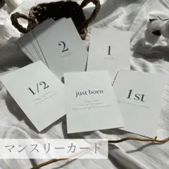Item thumbnail for item 8533c6fb-094b-4410-a27c-5276ec0f057f