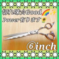 Item thumbnail for item 276bfdf5-46bc-409b-a9c5-0c3f5d09cb43