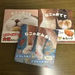 ねこのおくち・おてて・おあし写真集