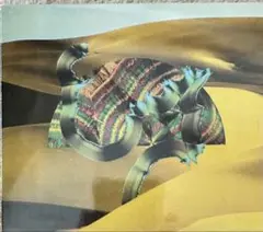 Django Django - Django Django