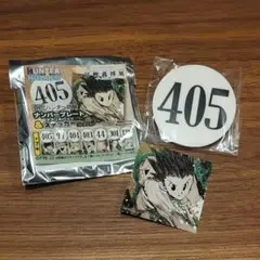 h×h ナンバープレートアクリルバッジ＆ステッカー ゴン