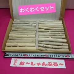 流木セットno.374