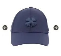 Item thumbnail for item 429ac7b2-8ea0-4c4c-9866-2ba3c11c2125