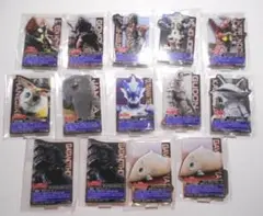 ウルトラマン 怪獣超大全 アクリル くじ 14点セット