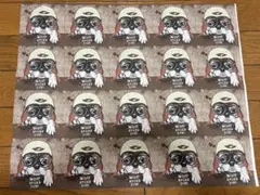 54.フレンチブルドッグ