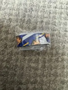 横浜DeNAベイスターズ 入江大生　ペットボトルストラップ ノベルティ非売品