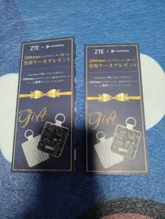 ZTE caseplay 専用ケース 2個セット
