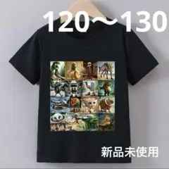 【新品】トゥントゥントゥンサフール　イタリアンブレインロット　Tシャツ　130