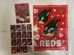 【値下げ交渉可】浦和レッズ レジャーシート マッチデーカード 下敷き 3点セット