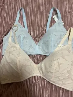 Item thumbnail for item 24ae70a8-e521-45d1-b539-47a130188cce