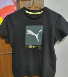 PUMA 黒 Tシャツ 140cm