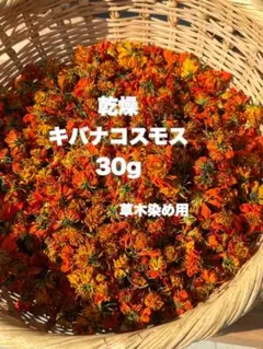 乾燥キバナコスモス 30g