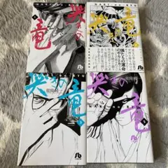 哭きの竜 1 2 3 5巻　文庫