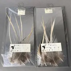 蒼サギ羽