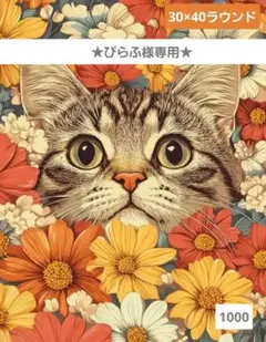 No 5823　ダイヤモンドアートキット　未使用品