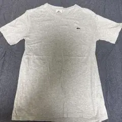LACOSTE グレー Tシャツ サイズ4