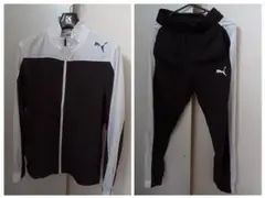 Item thumbnail for item 66b4413b-c4c5-4a1e-be40-c615cf7d9439