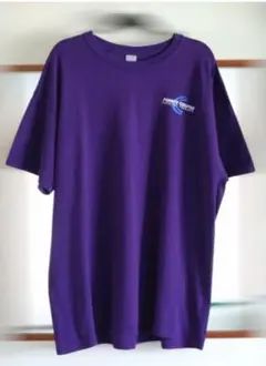 GILDAN ギルダン プリント Tシャツ XL パープル 紫 US古着